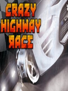 game pic for Crazy highway race